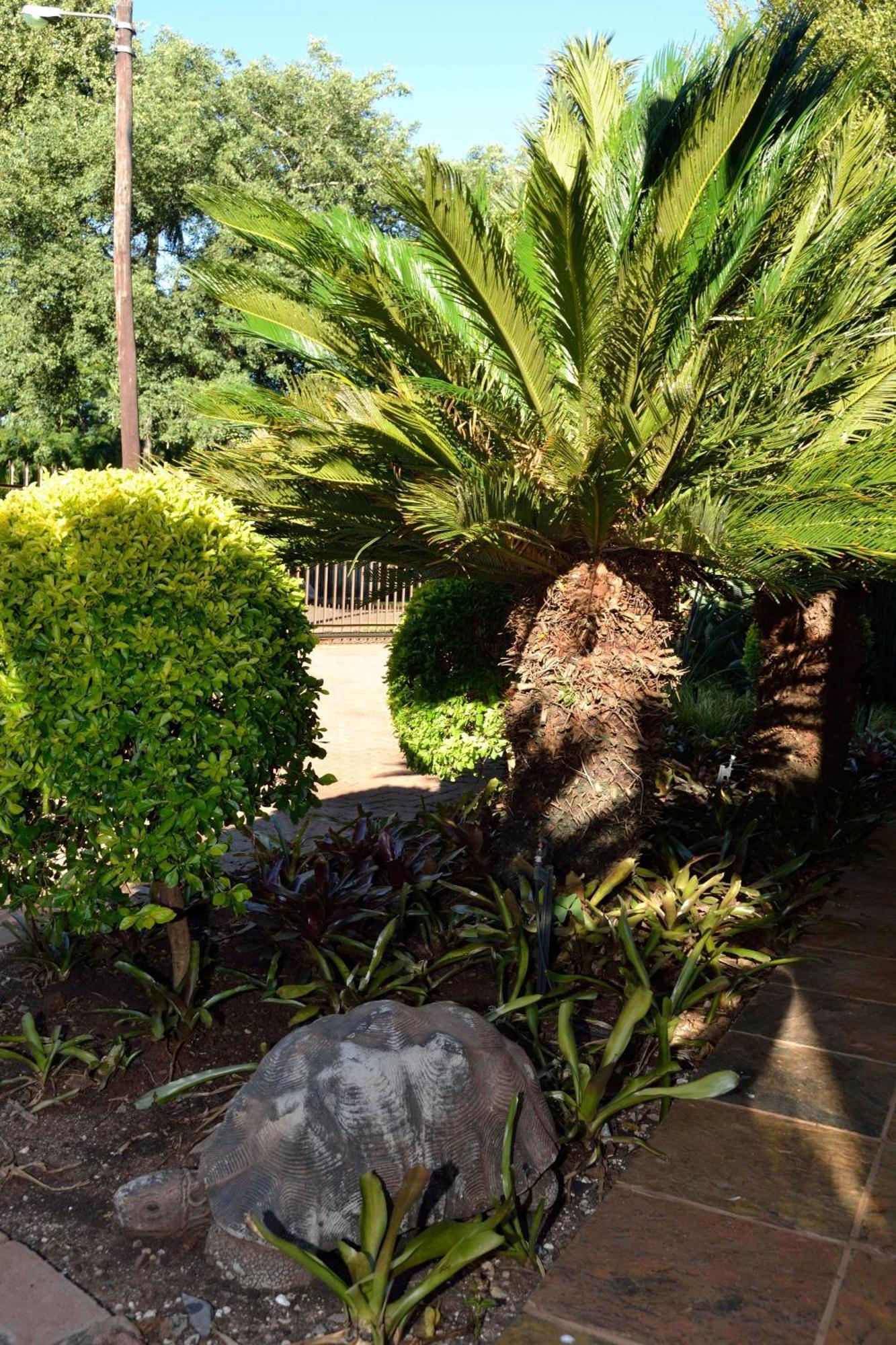 Cycas Guest House Malelane Kültér fotó